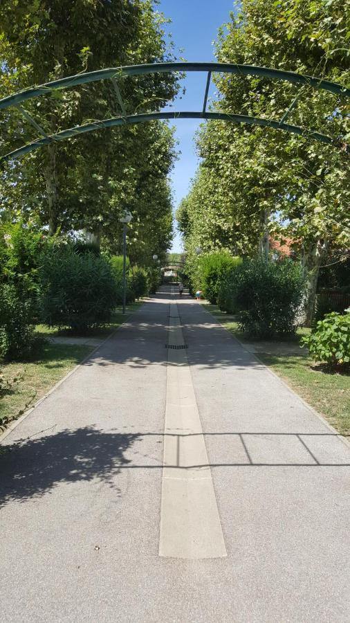 Residence Parc De La Mer - Apprt 3 Chambres Аржеле-сюр-Мер Екстериор снимка